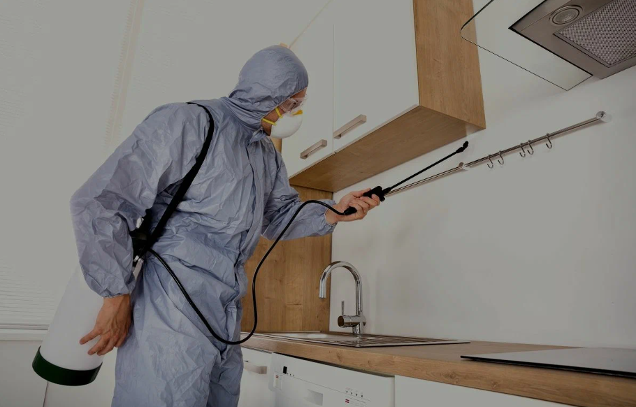 Yucaipa pest managment
